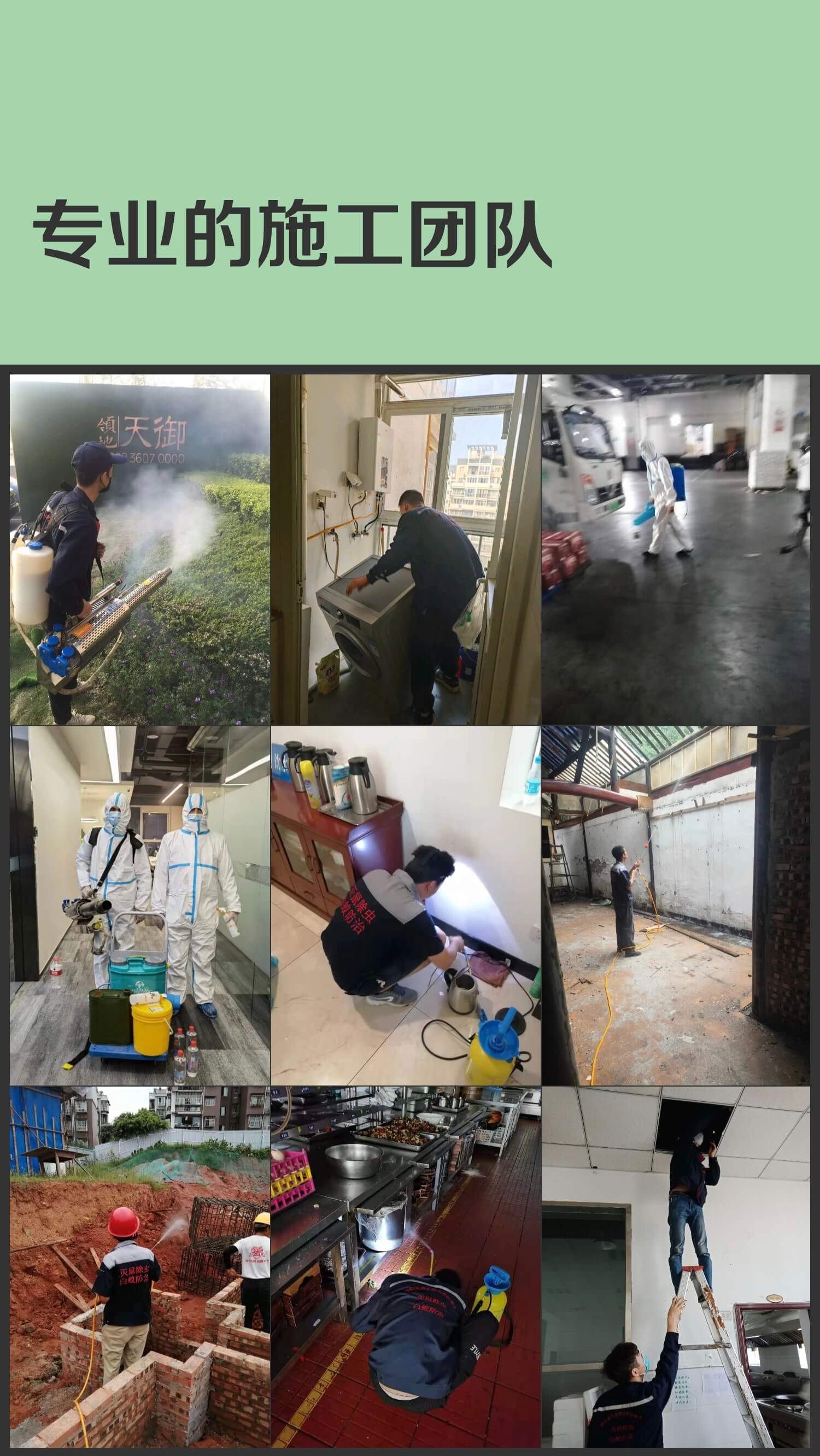 成都本地白蚁防治指南:结合家庭常见虫害知识防虫害