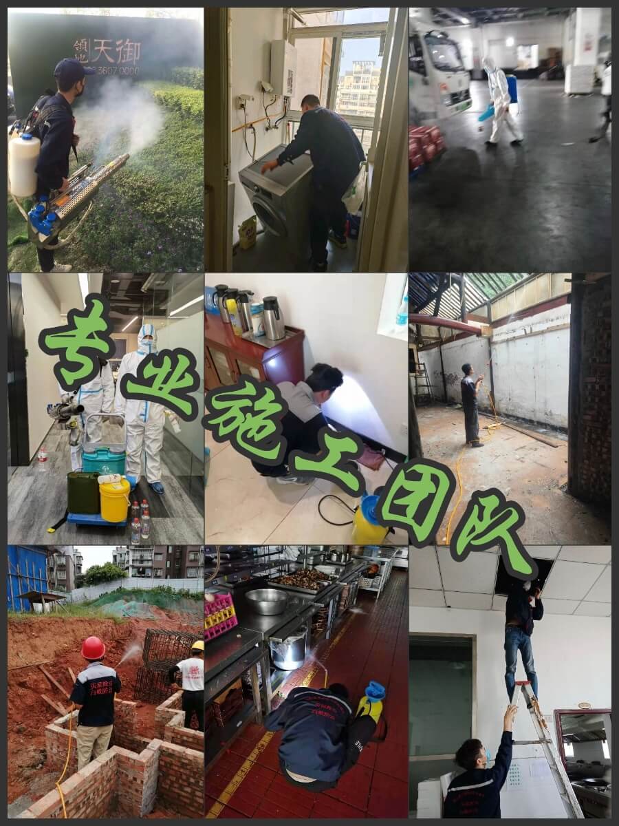 成都商铺老板须知:有害生物防治与白蚁防治实用知识