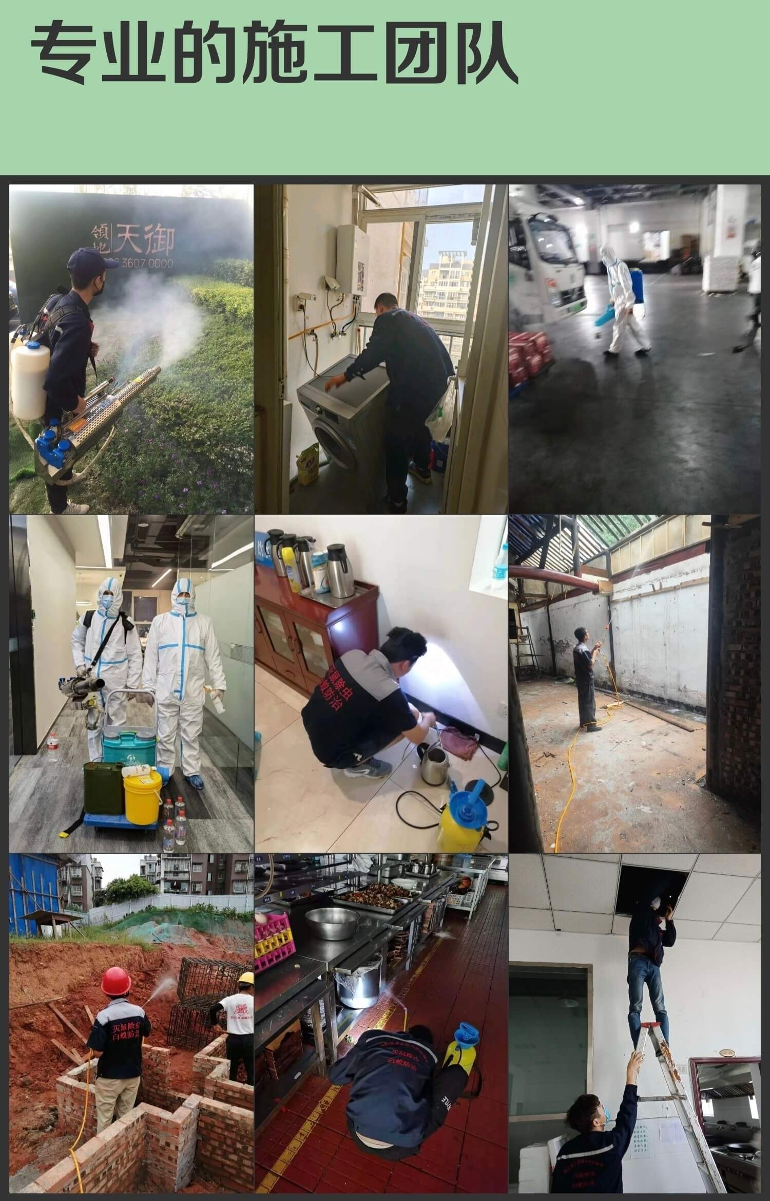 成都本地白蚁防治指南:结合家庭常见虫害知识防虫害
