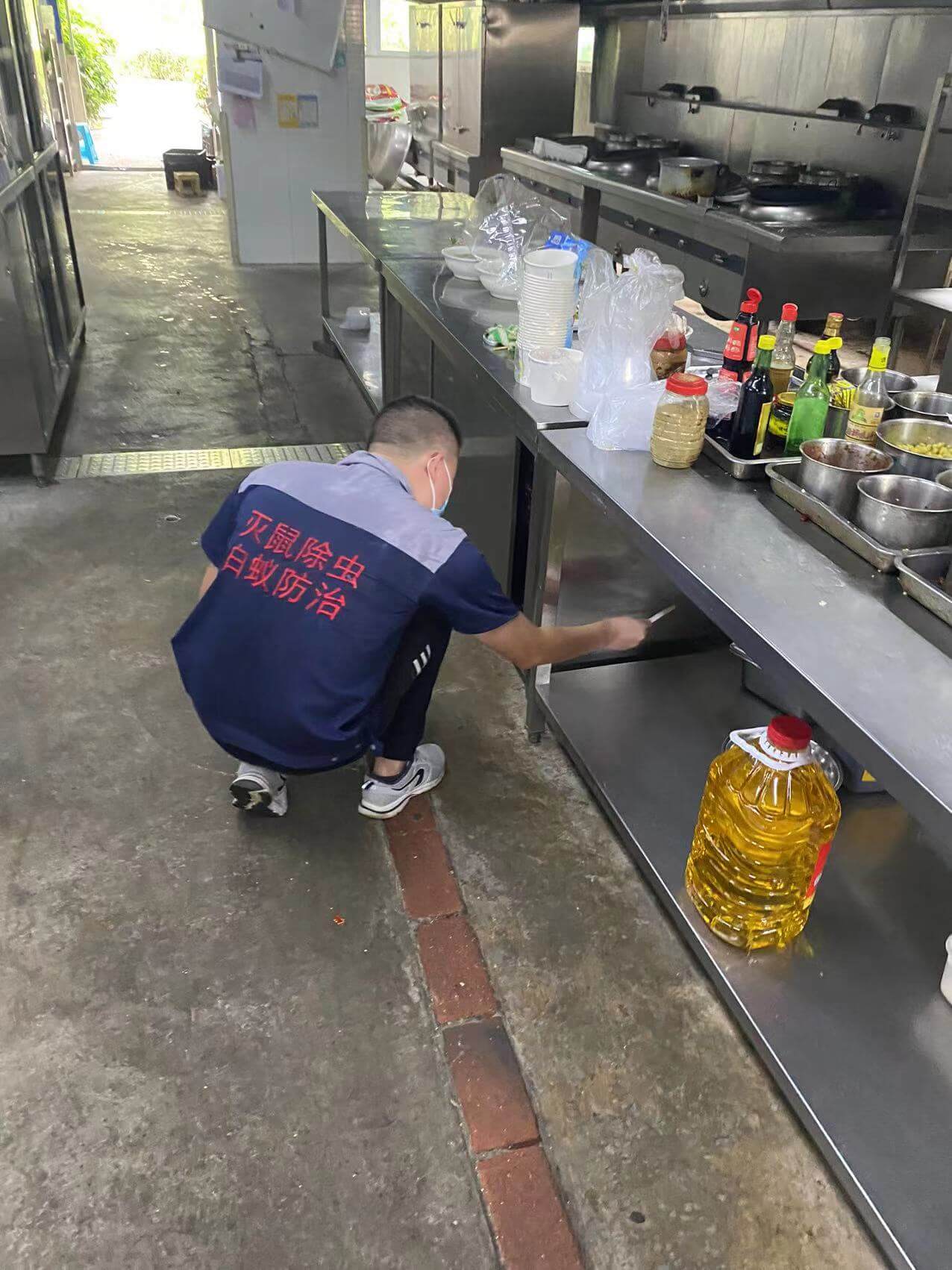 工业园区仓储灭鼠服务