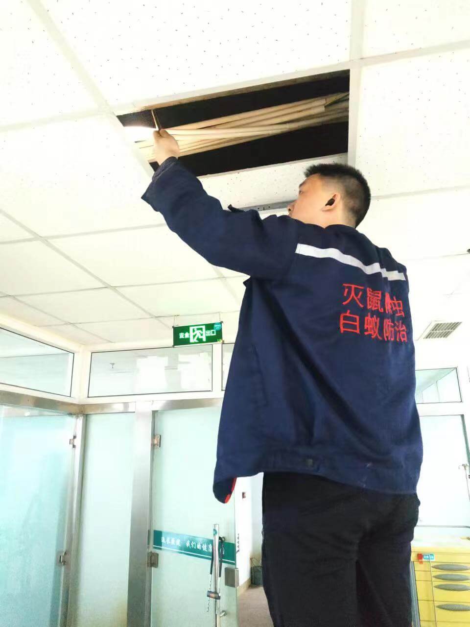 文旅民宿古镇灭鼠服务